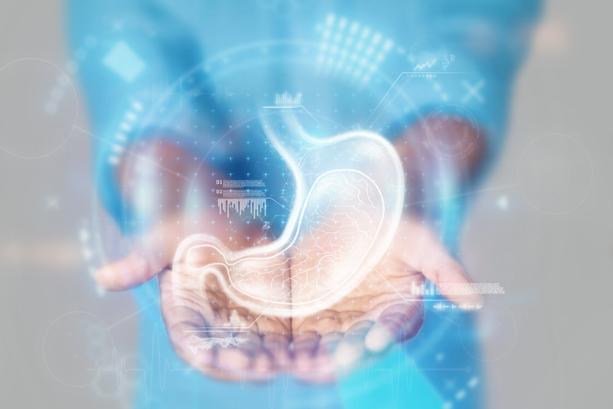1200-X-800-Gastrology